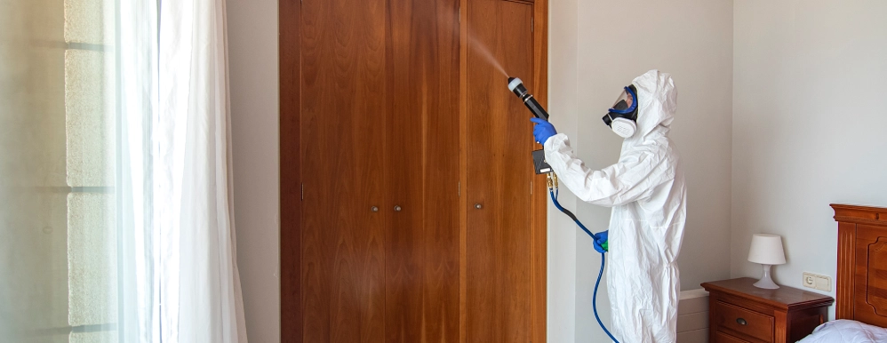 Hygienische Aufbereitung nach der Entrümpelung-img