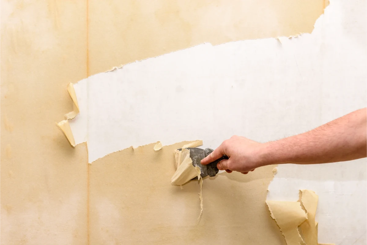 Entfernen alter Tapeten von der Wand – Geruchsneutralisation Messie-Wohnung